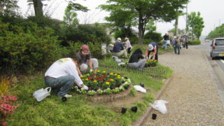 またまた鹿ノ台のECOKA委員会が環境省のページに登場！