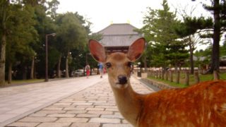 鹿ノ台の歴史を更新しました！