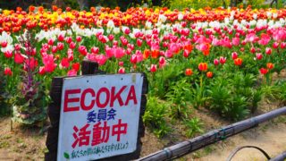 5/20放送の奈良TV「せんとくん通信」