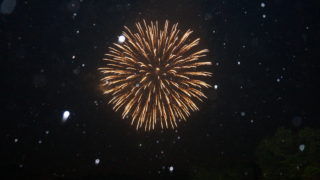 Fire works gave us special impression