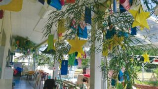 幼稚園、保育園、小学校へ七夕の笹を無償提供(ECOKA委員会)